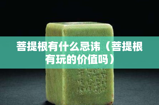 菩提根有什么忌讳（菩提根有玩的价值吗）