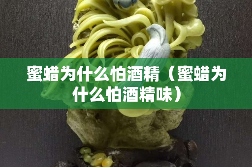 蜜蜡为什么怕酒精（蜜蜡为什么怕酒精味）