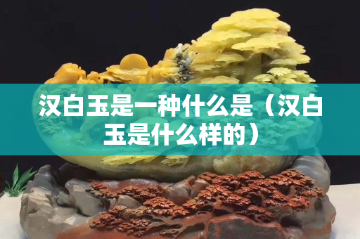 汉白玉是一种什么是（汉白玉是什么样的）