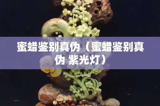 蜜蜡鉴别真伪（蜜蜡鉴别真伪 紫光灯）