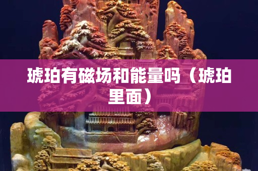 琥珀有磁场和能量吗（琥珀里面）