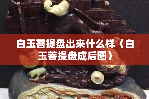 白玉菩提盘出来什么样（白玉菩提盘成后图）