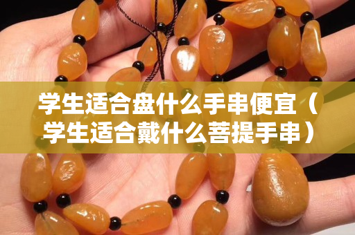 学生适合盘什么手串便宜（学生适合戴什么菩提手串）