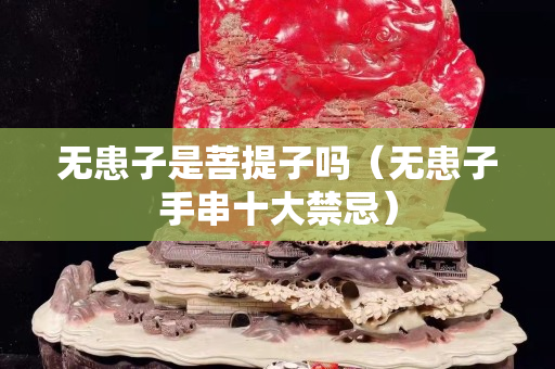 无患子是菩提子吗（无患子手串十大禁忌）
