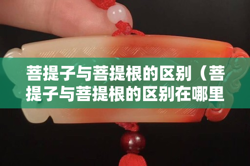 菩提子与菩提根的区别（菩提子与菩提根的区别在哪里）