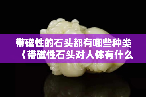 带磁性的石头都有哪些种类（带磁性石头对人体有什么好处）