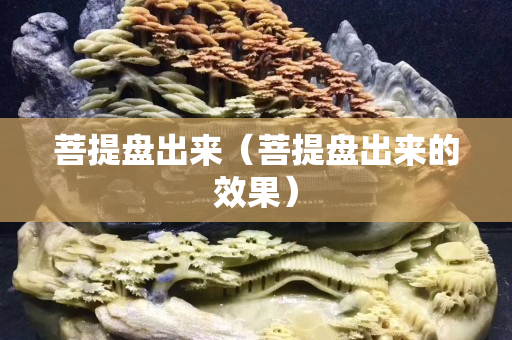 菩提盘出来（菩提盘出来的效果）