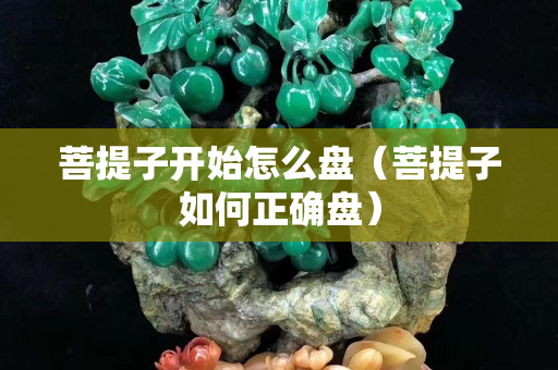 菩提子开始怎么盘（菩提子如何正确盘）