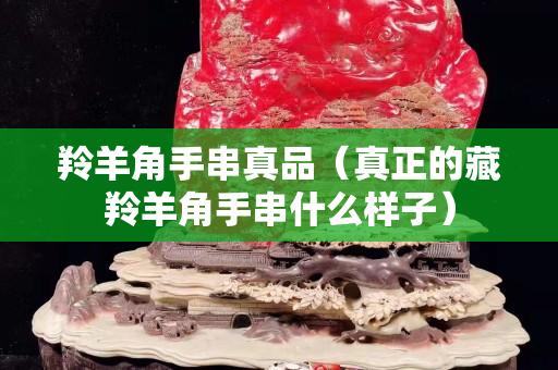 羚羊角手串真品（真正的藏羚羊角手串什么样子）