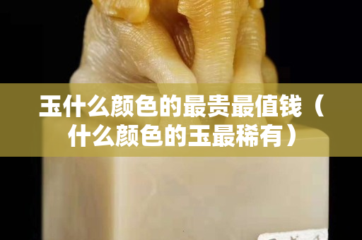 玉什么颜色的最贵最值钱（什么颜色的玉最稀有）