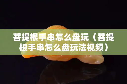 菩提根手串怎么盘玩（菩提根手串怎么盘玩法视频）