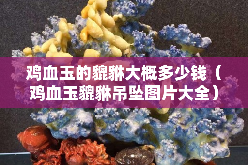 鸡血玉的貔貅大概多少钱（鸡血玉貔貅吊坠图片大全）