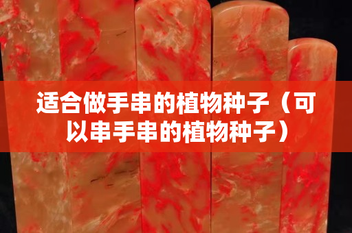 适合做手串的植物种子（可以串手串的植物种子）