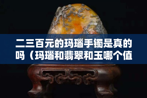 二三百元的玛瑙手镯是真的吗（玛瑙和翡翠和玉哪个值钱）