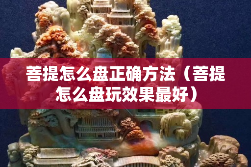 菩提怎么盘正确方法（菩提怎么盘玩效果最好）