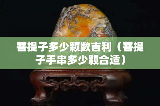 菩提子多少颗数吉利（菩提子手串多少颗合适）