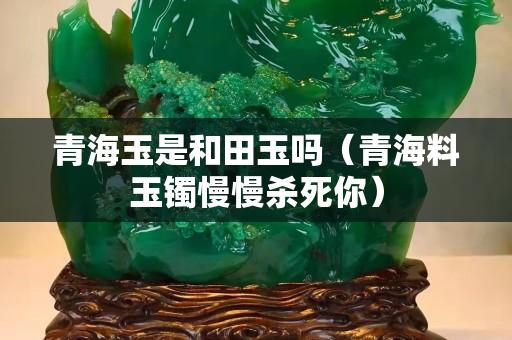 青海玉是和田玉吗（青海料玉镯慢慢杀死你）