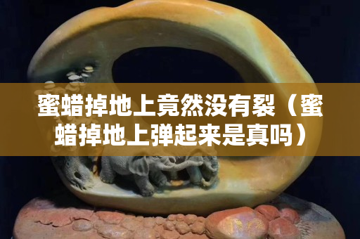 蜜蜡掉地上竟然没有裂（蜜蜡掉地上弹起来是真吗）