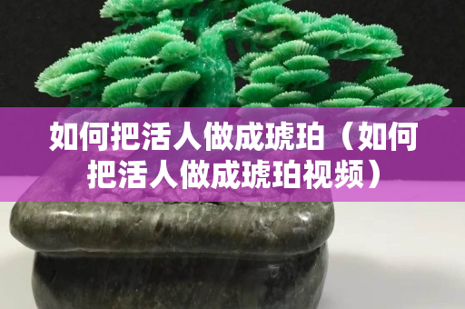如何把活人做成琥珀（如何把活人做成琥珀视频）