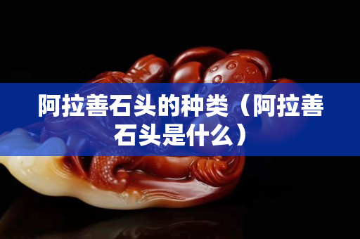 阿拉善石头的种类（阿拉善石头是什么）