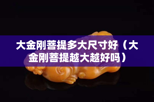 大金刚菩提多大尺寸好（大金刚菩提越大越好吗）