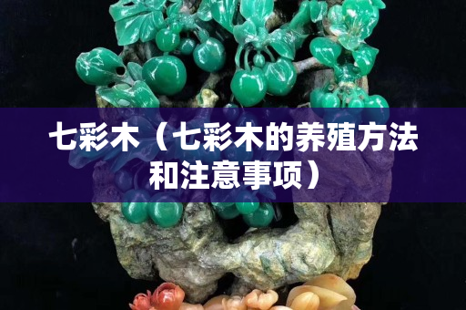 七彩木（七彩木的养殖方法和注意事项）