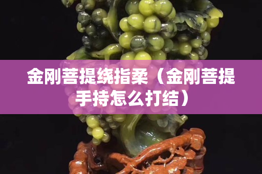 金刚菩提绕指柔（金刚菩提手持怎么打结）