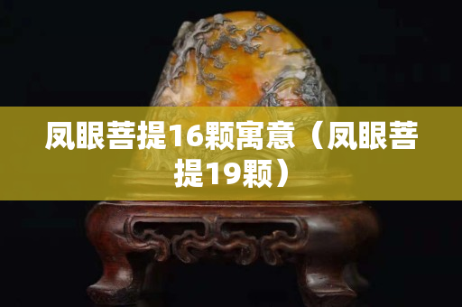 凤眼菩提16颗寓意（凤眼菩提19颗）