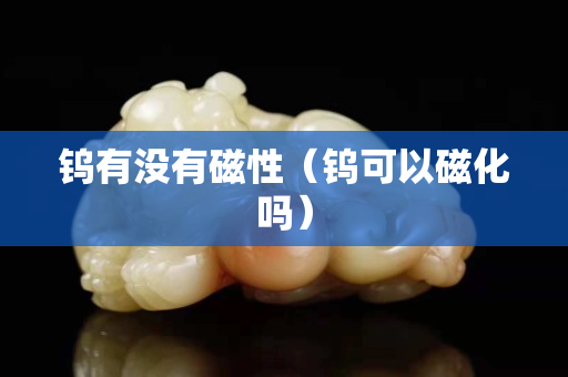钨有没有磁性（钨可以磁化吗）