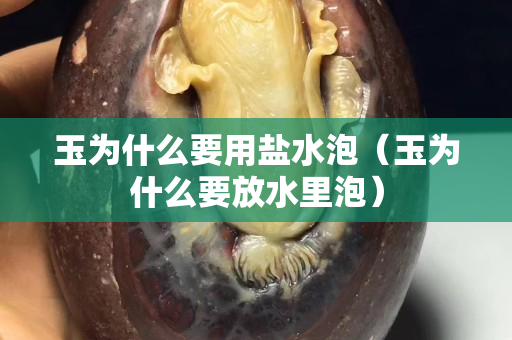 玉为什么要用盐水泡（玉为什么要放水里泡）