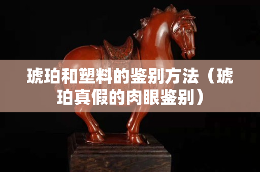 琥珀和塑料的鉴别方法（琥珀真假的肉眼鉴别）