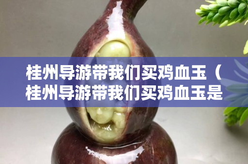 桂州导游带我们买鸡血玉（桂州导游带我们买鸡血玉是真的吗）