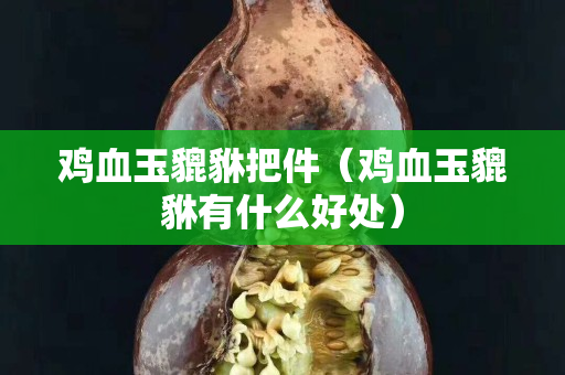 鸡血玉貔貅把件（鸡血玉貔貅有什么好处）