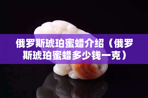 俄罗斯琥珀蜜蜡介绍（俄罗斯琥珀蜜蜡多少钱一克）