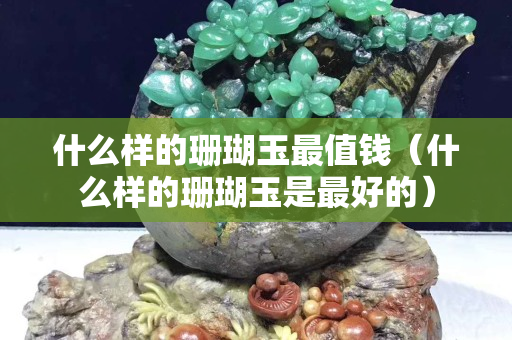 什么样的珊瑚玉最值钱（什么样的珊瑚玉是最好的）