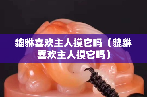 貔貅喜欢主人摸它吗（貔貅喜欢主人摸它吗）