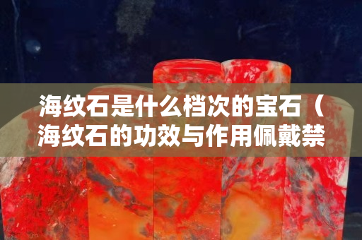 海纹石是什么档次的宝石（海纹石的功效与作用佩戴禁忌）