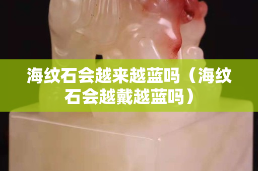 海纹石会越来越蓝吗（海纹石会越戴越蓝吗）