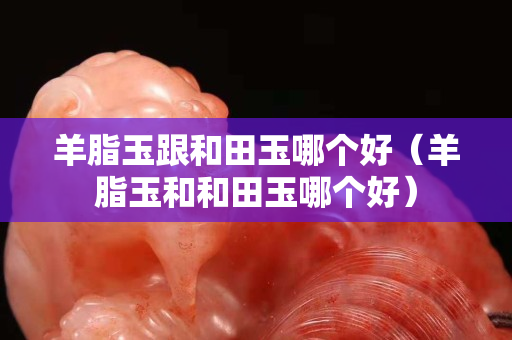 羊脂玉跟和田玉哪个好（羊脂玉和和田玉哪个好）