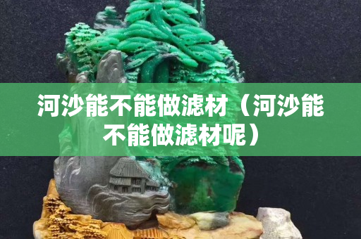 河沙能不能做滤材（河沙能不能做滤材呢）