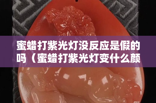 蜜蜡打紫光灯没反应是假的吗（蜜蜡打紫光灯变什么颜色）