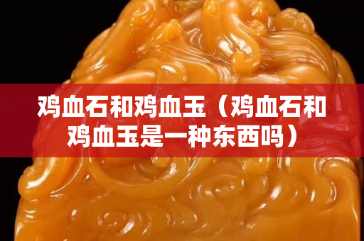 鸡血石和鸡血玉（鸡血石和鸡血玉是一种东西吗）