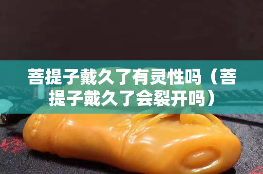 菩提子戴久了有灵性吗（菩提子戴久了会裂开吗）