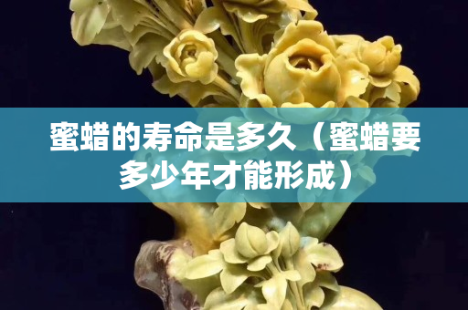 蜜蜡的寿命是多久（蜜蜡要多少年才能形成）