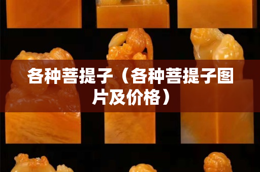 各种菩提子（各种菩提子图片及价格）