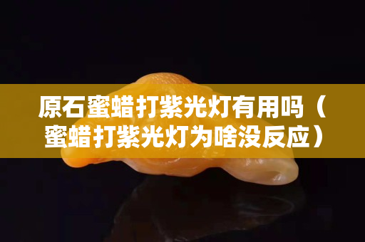 原石蜜蜡打紫光灯有用吗（蜜蜡打紫光灯为啥没反应）