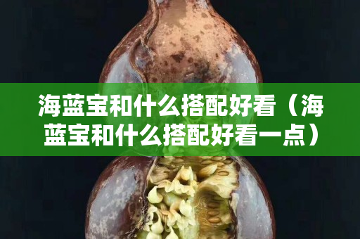 海蓝宝和什么搭配好看（海蓝宝和什么搭配好看一点）
