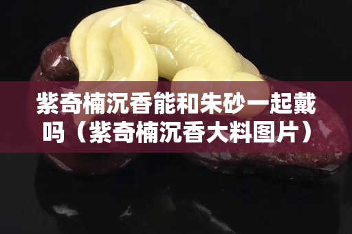 紫奇楠沉香能和朱砂一起戴吗（紫奇楠沉香大料图片）