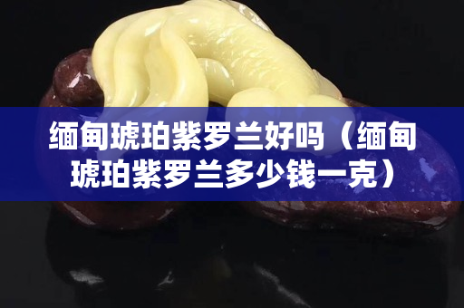 缅甸琥珀紫罗兰好吗（缅甸琥珀紫罗兰多少钱一克）