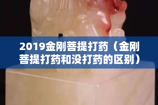 2019金刚菩提打药（金刚菩提打药和没打药的区别）